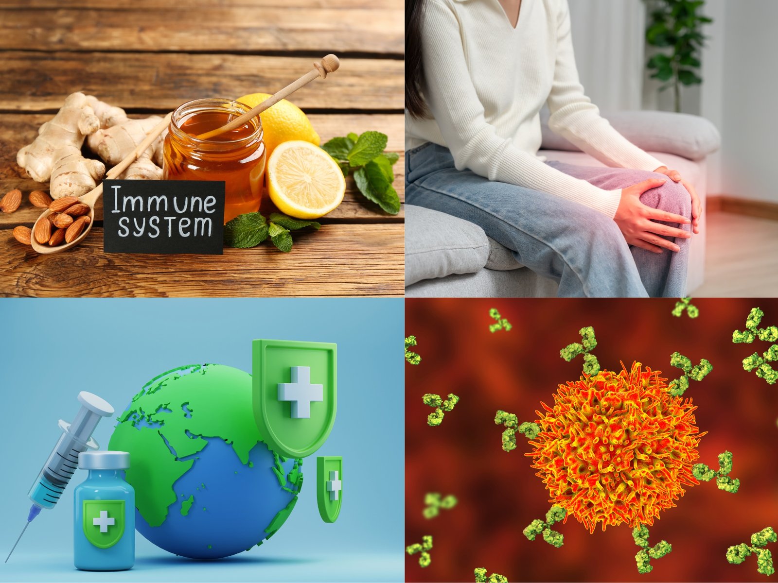 Inflammation Control and Immune Balance