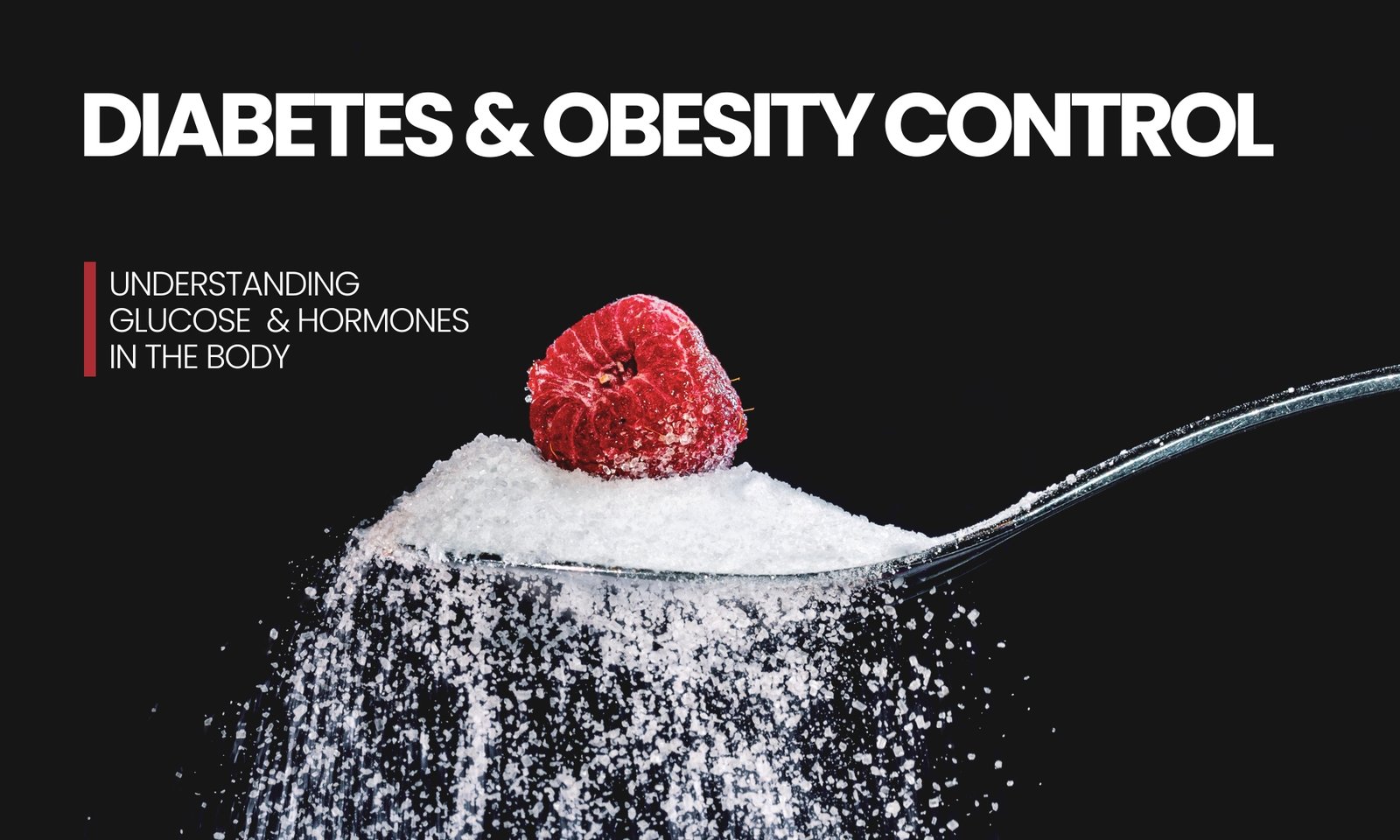 Diabetes and Obesity Solutions